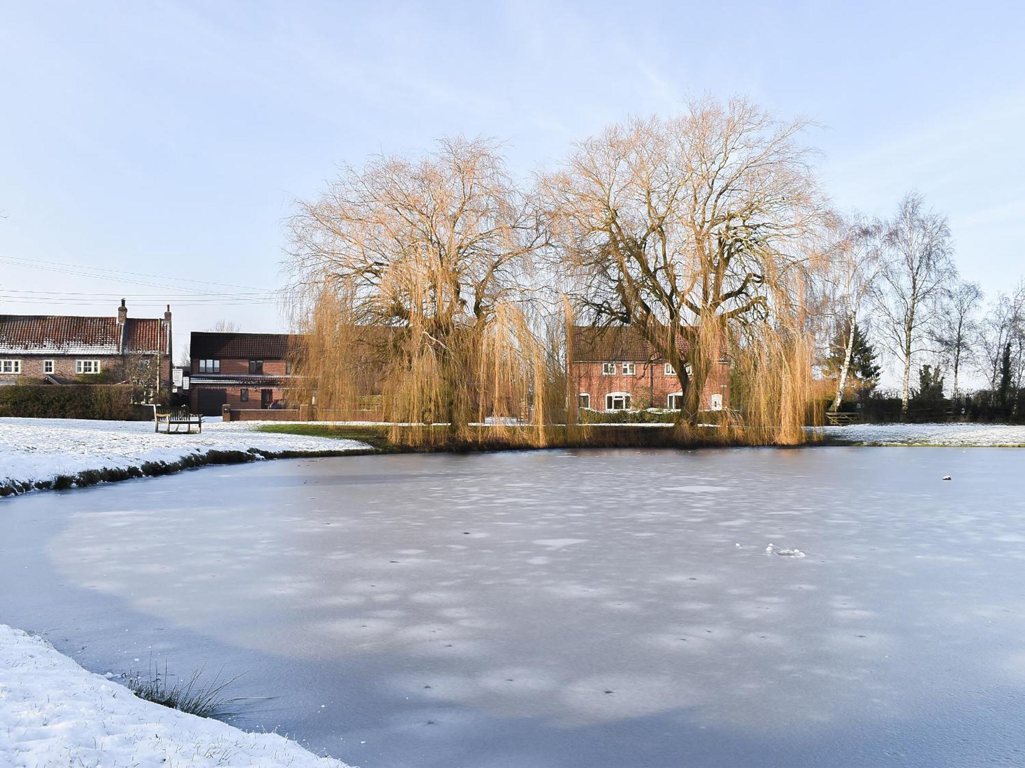Duck Cottage Tholthorpe المظهر الخارجي الصورة